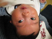 f0120980_11154266.jpg