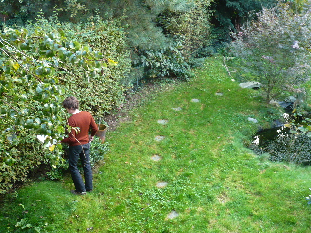 c0069083_4462583.jpg