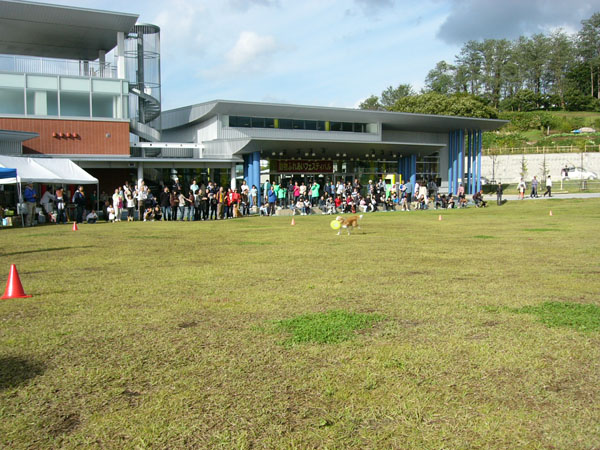 d0101385_22411149.jpg