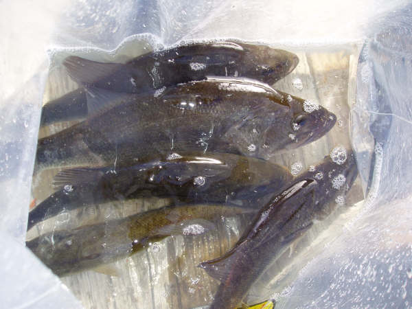 f0024887_0315048.jpg