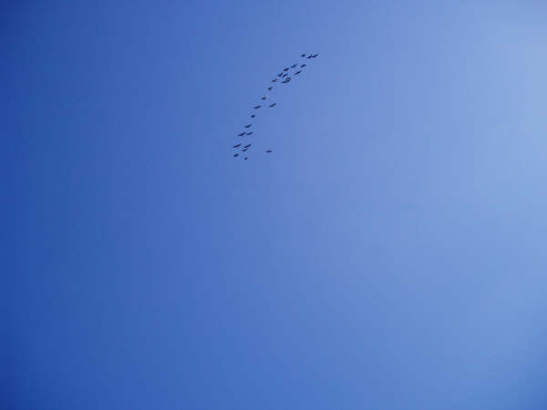 f0024887_0472728.jpg