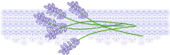 d0009689_7481873.gif