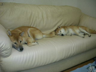 c0123890_20342068.jpg