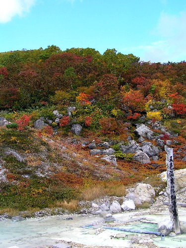a0067991_8143563.jpg