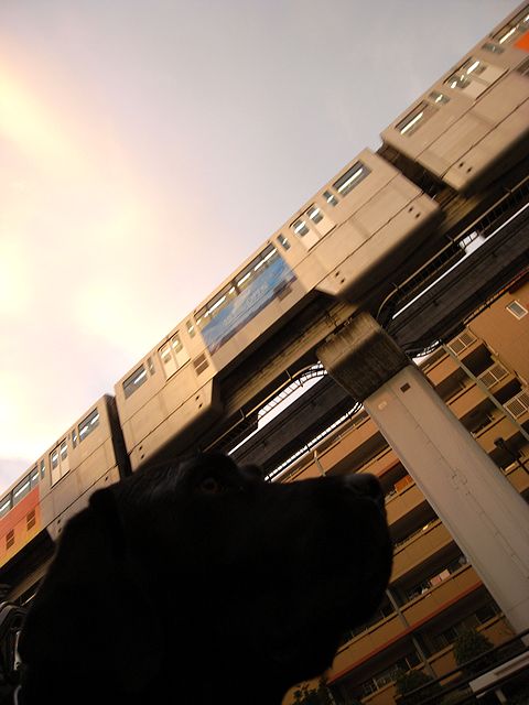 a0093592_0524050.jpg