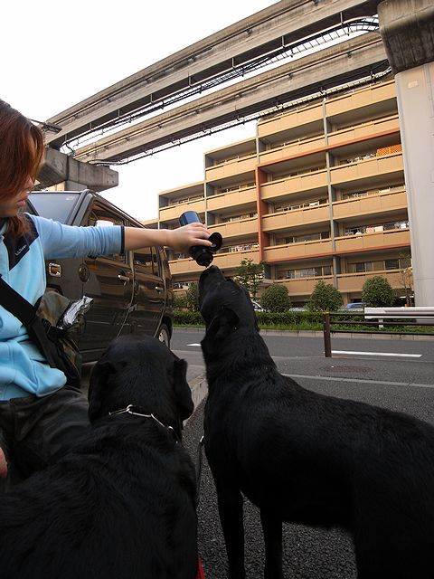 a0093592_0551889.jpg