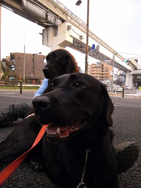 a0093592_0553696.jpg