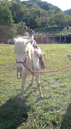 e0003097_1373837.jpg