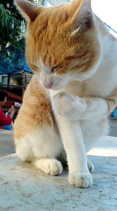 e0003097_1391743.jpg