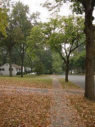 c0133498_1055691.jpg