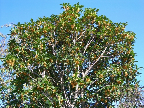 d0069498_1872141.jpg