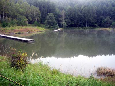 d0026200_911966.jpg