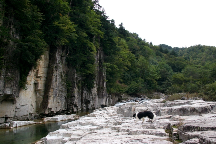f0034602_1073735.jpg
