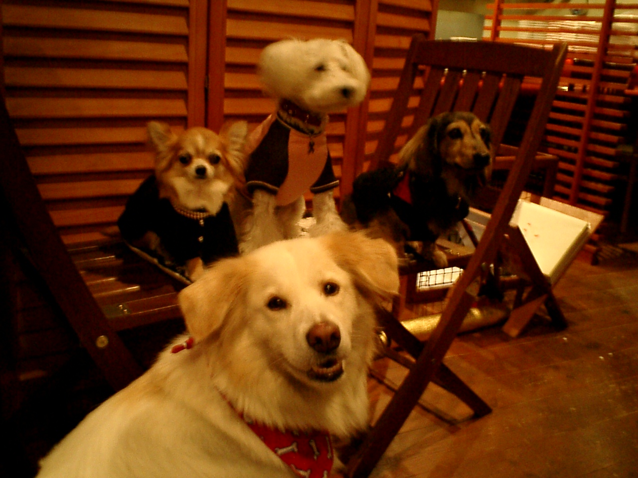 a0032004_4183798.jpg