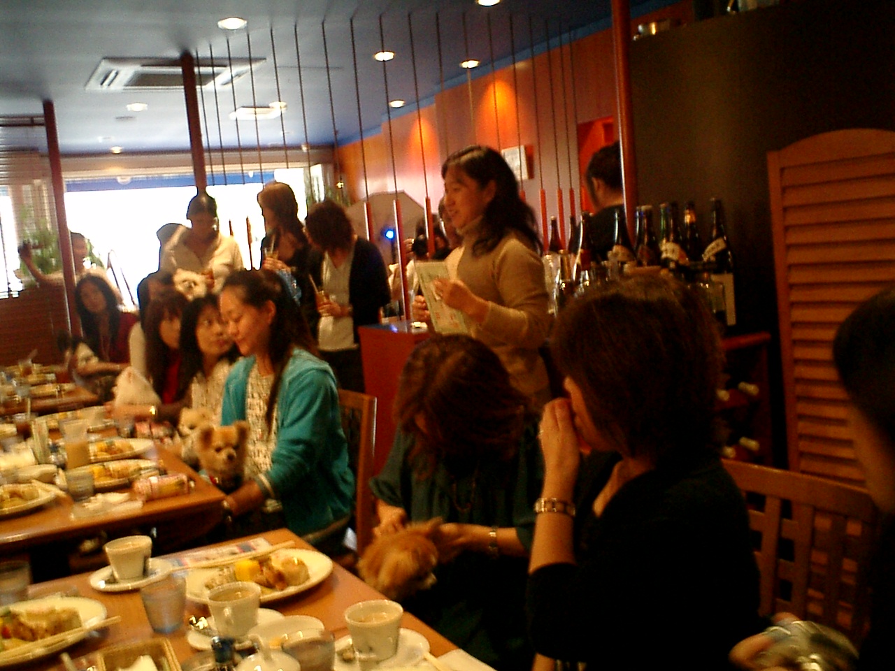a0032004_473214.jpg