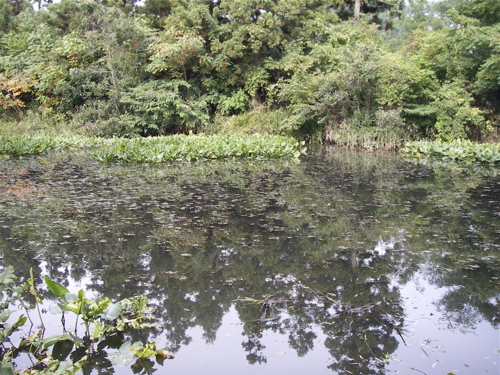 a0049808_23304676.jpg