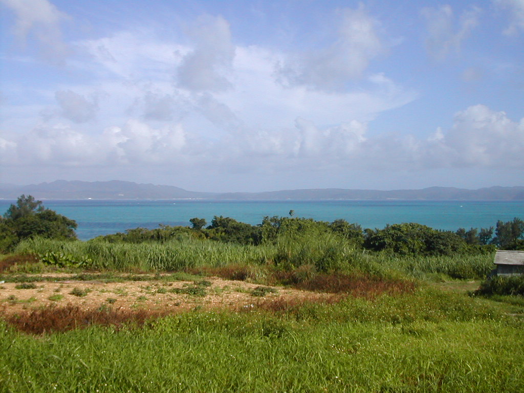 c0132608_18374677.jpg