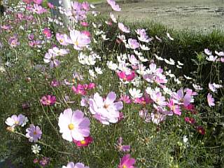e0098908_21512189.jpg