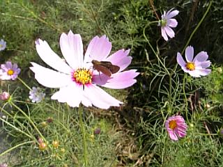 e0098908_21574650.jpg