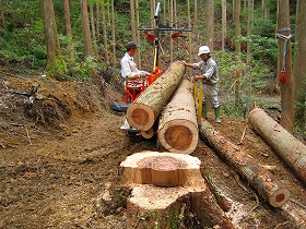 e0002820_6401068.jpg