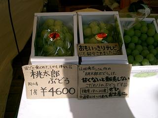 e0091322_20225413.jpg