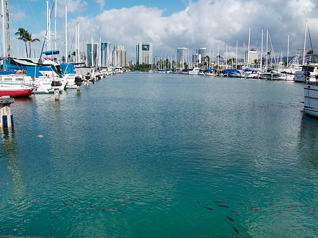 b0085526_11351170.jpg