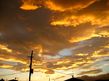 e0024026_033467.jpg