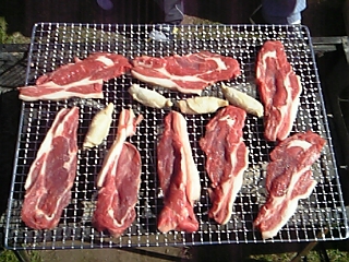 f0083726_15155793.jpg