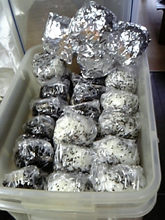 f0083726_1554873.jpg
