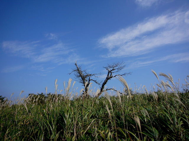 d0075131_042096.jpg