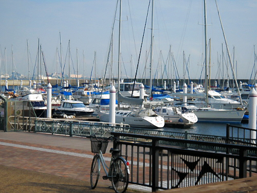 d0017632_1854778.jpg