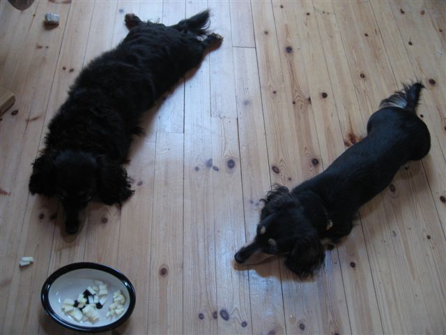 f0002532_1235441.jpg
