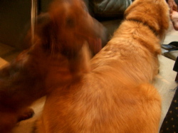 f0110840_20102939.jpg