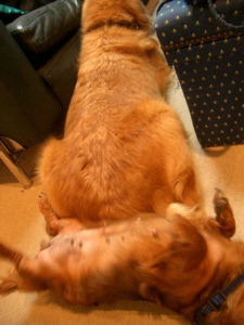 f0110840_2011165.jpg