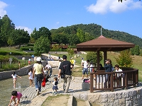 d0098047_1101626.jpg