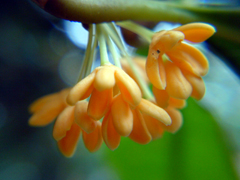 e0005548_23195277.jpg