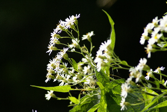 a0021251_2252050.jpg