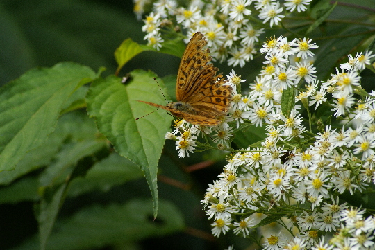 a0021251_22523986.jpg
