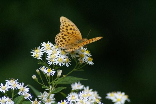 a0021251_22525599.jpg