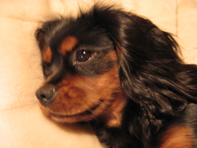 a0101958_11112817.jpg