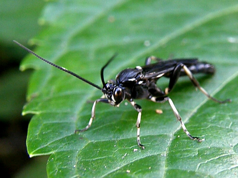 e0064158_142473.jpg
