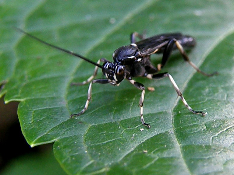e0064158_1433756.jpg