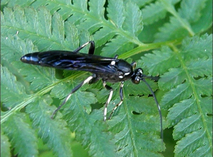e0064158_1445269.jpg