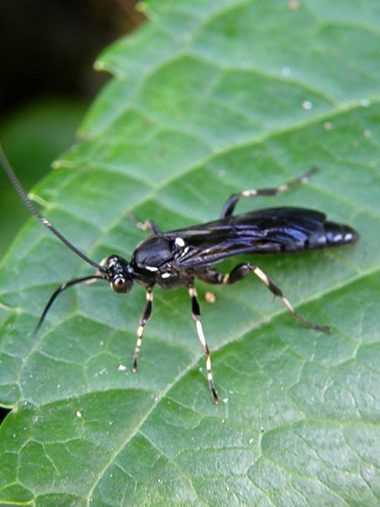 e0064158_1492551.jpg