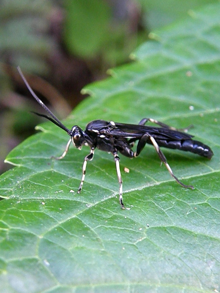 e0064158_1494891.jpg