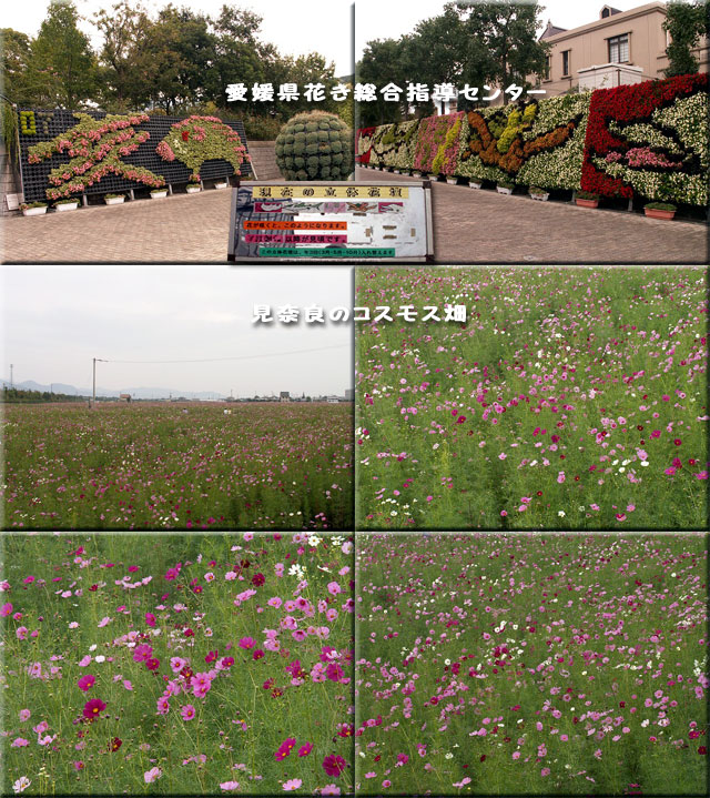 f0104569_23234661.jpg