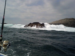 c0025471_12572683.jpg