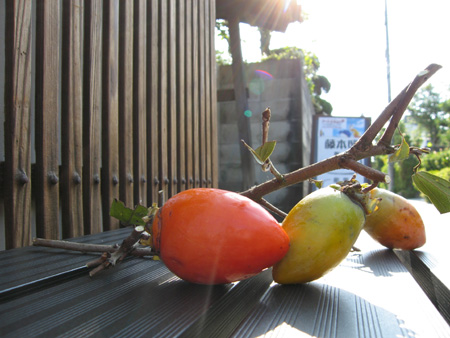 c0104371_1052522.jpg
