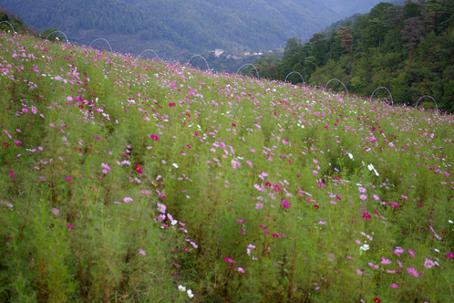 b0080789_2312247.jpg