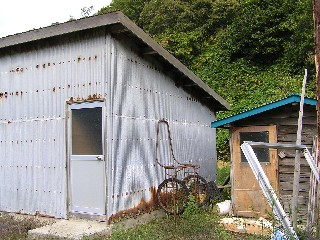 a0067991_852975.jpg